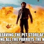 (Don’t ever do this trust me I know) | ME LEAVING THE PET STORE AFTER TEACHING ALL THE PARROTS THE N WORD | image tagged in guy walking away from explosion,funny,memes,do not try,do not do,funny meme | made w/ Imgflip meme maker
