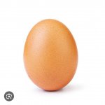 egg