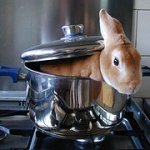 Bunny in Pot