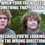 Can only virgins see that? Is that why I'm not seeing this crap??? | WHEN YOUR FRIEND SEES SOMETHING THAT YOU DON'T; BECAUSE YOU'RE LOOKING IN THE WRONG DIRECTION | image tagged in hobbits | made w/ Imgflip meme maker