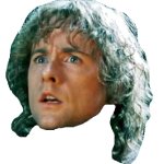 Pippin's head