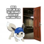 The follower basement