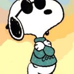 210 Snoopy Joe Cool ideas | joe cool, snoopy, snoopy love