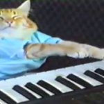 Piano Cat Meme Generator Imgflip