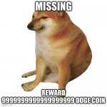 what happened to him i wasnt here for a long time | MISSING; REWARD 9999999999999999999 DOGE COIN | image tagged in cheems | made w/ Imgflip meme maker