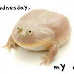 its Wednesday my dudes
