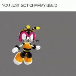 you just got charmy bee'd GIF Template