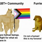 Anti furry meme