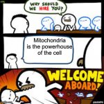 When will we ever actually use this school? | Mitochondria is the powerhouse of the cell | image tagged in why should we hire you,memes,funny,funny memes,school,relatable | made w/ Imgflip meme maker