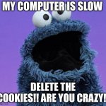 cookie monster | MY COMPUTER IS SLOW; DELETE THE COOKIES!! ARE YOU CRAZY!! | image tagged in cookie monster | made w/ Imgflip meme maker