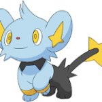 Shinx Transparent