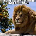 lion | ONLY HAVING THIS BEAUTY AS MY ROOM MATE; I WOULD FEEL I'M SAFE | image tagged in lion | made w/ Imgflip meme maker