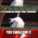 True tho | YOU INHALE A BUG; IT'S CRAWLING DOWN YOUR THROUGHT; YOU SWALLOW IT | image tagged in inhaling pigeon | made w/ Imgflip meme maker