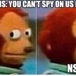 NSA spying | US CITIZENS: YOU CAN'T SPY ON US IN THE USA; NSA | image tagged in awkward muppet | made w/ Imgflip meme maker