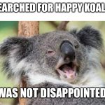 Happy Koala | SEARCHED FOR HAPPY KOALA; WAS NOT DISAPPOINTED | image tagged in happy koala | made w/ Imgflip meme maker
