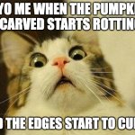 Scared Cat Meme | 7 YO ME WHEN THE PUMPKIN I CARVED STARTS ROTTING; AND THE EDGES START TO CURVE | image tagged in memes,scared cat | made w/ Imgflip meme maker