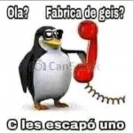 Rude Penguin (Hispanic) meme