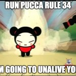 Pucca Naruto run | RUN PUCCA RULE 34; I'M GOING TO UNALIVE YOU! | image tagged in pucca naruto run | made w/ Imgflip meme maker