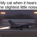 frfr | My cat when it hears the slightest little noise: | image tagged in gifs,meme | made w/ Imgflip video-to-gif maker