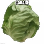 pain | CABAGE | image tagged in memes,cabbage,yum yum | made w/ Imgflip meme maker