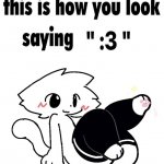 this is how you look saying ":3"