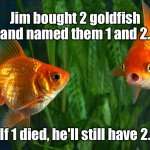 Goldfish in tank | Jim bought 2 goldfish and named them 1 and 2. If 1 died, he'll still have 2. | image tagged in goldfish,bought 2 fish,named 1 and 2,1 died,still have 2 | made w/ Imgflip meme maker