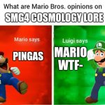 Accurate depiction | SMG4 COSMOLOGY LORE; PINGAS; MARIO WTF- | image tagged in smg4 mario says luigi says | made w/ Imgflip meme maker