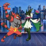 Incineroar and Meowscarada enjoying a big city adventure | image tagged in city background | made w/ Imgflip meme maker
