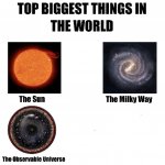 Top biggest things in the world meme