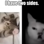 i have two sides | I have two sides. | image tagged in i have two sides,gas,jews,hitler | made w/ Imgflip meme maker