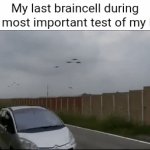 Fr | My last braincell during the most important test of my life: | image tagged in gifs,memes,test,so true memes,relatable,funny | made w/ Imgflip video-to-gif maker