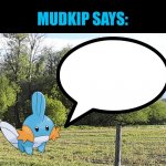 Mudkip Says template