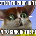 SpleensTheCat | IT IS BETTER TO POOP IN THE SINK; THAN TO SINK IN THE POOP | image tagged in spleensthecat | made w/ Imgflip meme maker