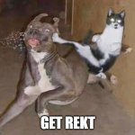 get rekt | GET REKT | image tagged in get rekt | made w/ Imgflip meme maker