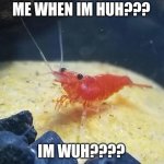 shrimp wuh huh