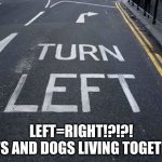 WHICH WAY DO I TURN | LEFT=RIGHT!?!?!
CATS AND DOGS LIVING TOGETHER | image tagged in you had one job | made w/ Imgflip meme maker