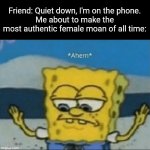 Truth | Friend: Quiet down, I'm on the phone.
Me about to make the most authentic female moan of all time: | image tagged in ahem,funny,memes,fun | made w/ Imgflip meme maker