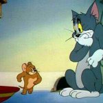 Tom scared of Jerry template