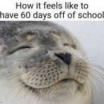 It would be really satisfying | How it feels like to have 60 days off of school | image tagged in memes,satisfied seal | made w/ Imgflip meme maker