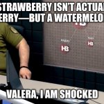 A strawberry isn’t actually a berry—but a watermelon is | A STRAWBERRY ISN’T ACTUALLY A BERRY—BUT A WATERMELON IS; VALERA, I AM SHOCKED | image tagged in valera i am shocked,strawberry,watermelon | made w/ Imgflip meme maker