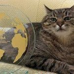 Stepan cat