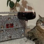 Stepan cat