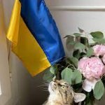 Stepan cat