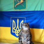 Stepan cat