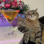 Stepan cat