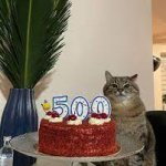 Stepan cat