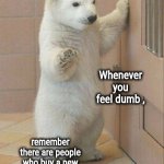 He's just here to make you feel better | Whenever you feel dumb , remember there are people who buy a new iPhone every year | image tagged in not now bear,right to bear arms,wise master,did you know that,smart phone,dumb people | made w/ Imgflip meme maker
