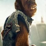 The Monkey (The Hangover)