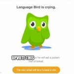 Do what is says | UPVOTE THIS | image tagged in duolingo bird | made w/ Imgflip meme maker