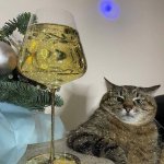 Stepan cat